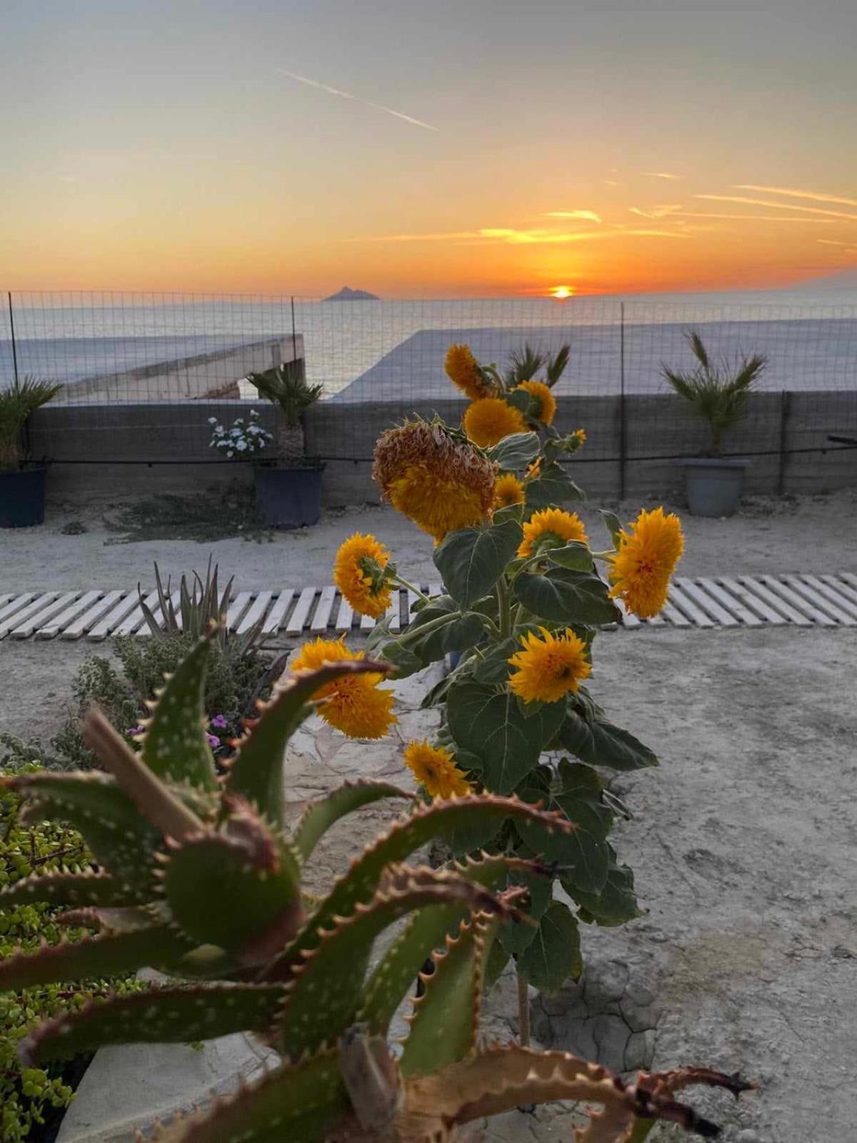 Korali House Villa Kalamaki  Buitenkant foto